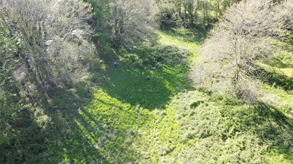 Dji 0959.jpg