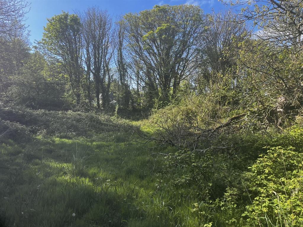 Img 1215.jpeg