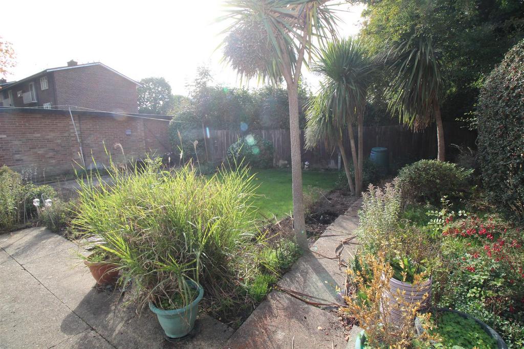 Garden 3.JPG