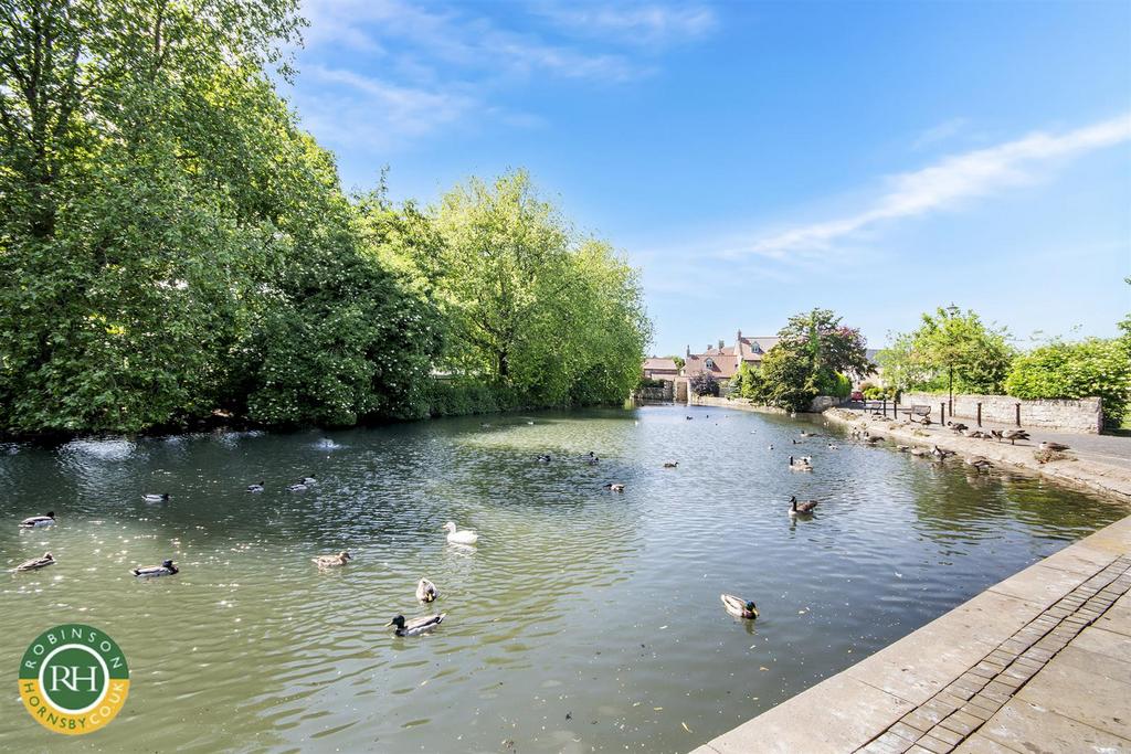 View from the duck pond