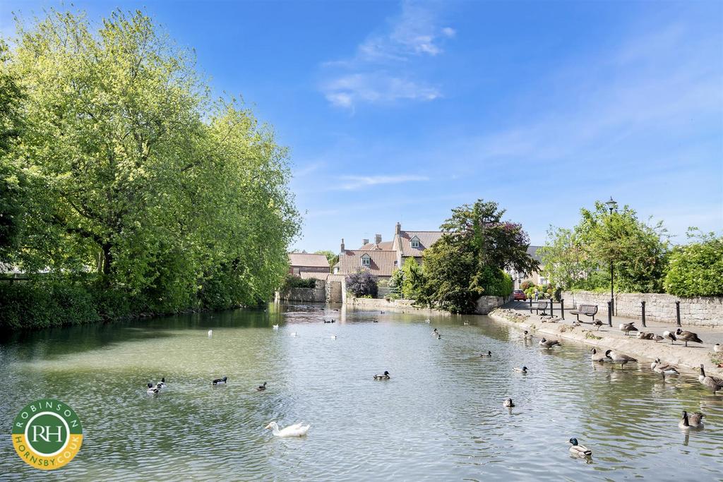 Duck pond