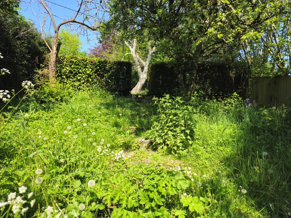Steps leading to top of garden
