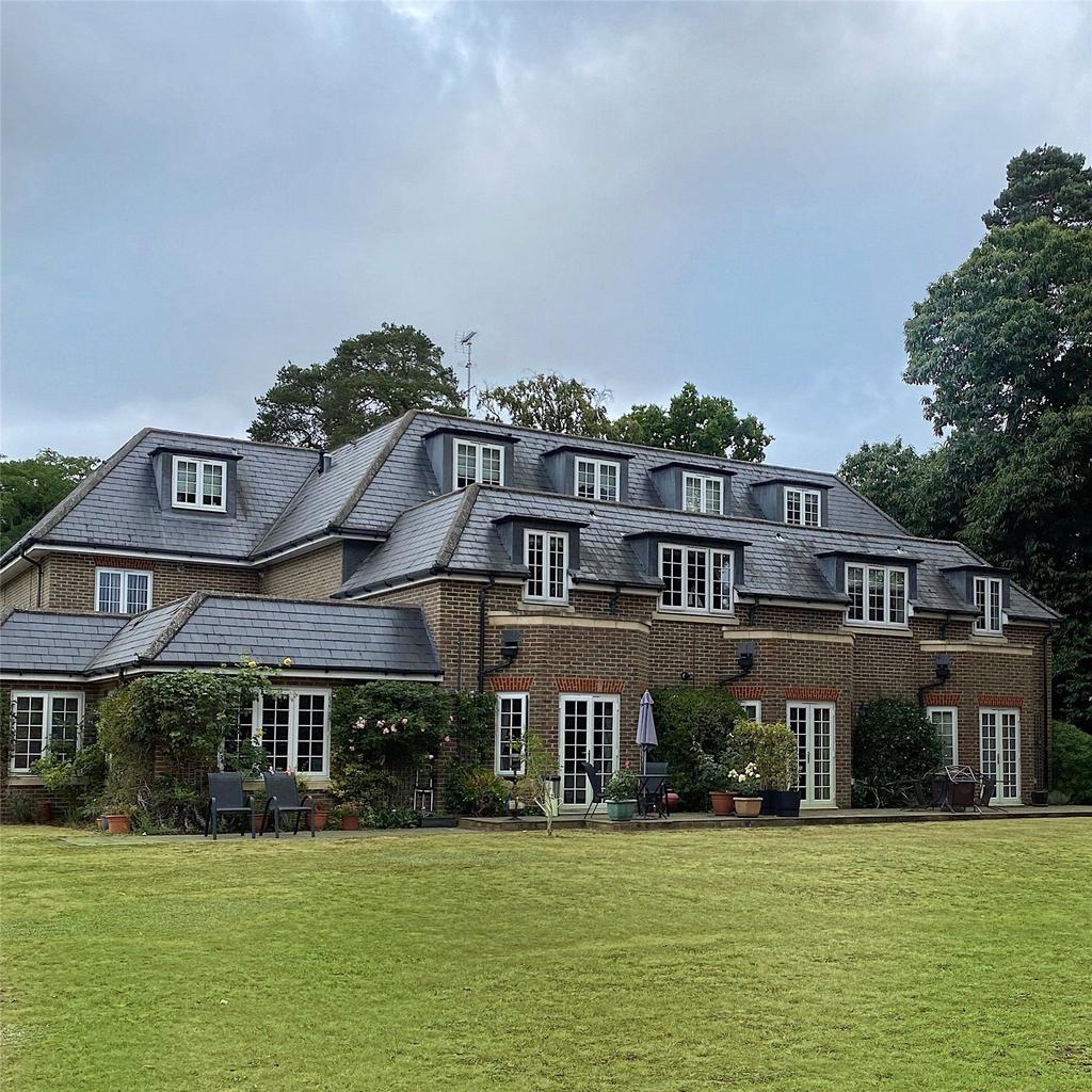 Rear Elevation