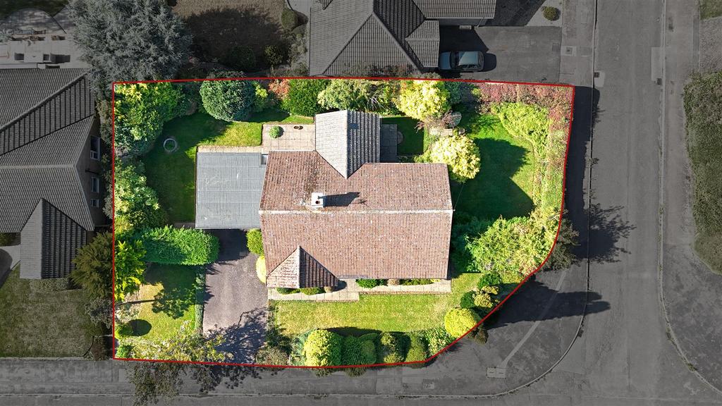 DJI 20250122152850 0215 D.jpg