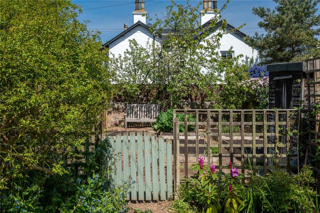 Back Garden