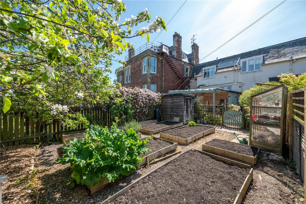 Back Garden