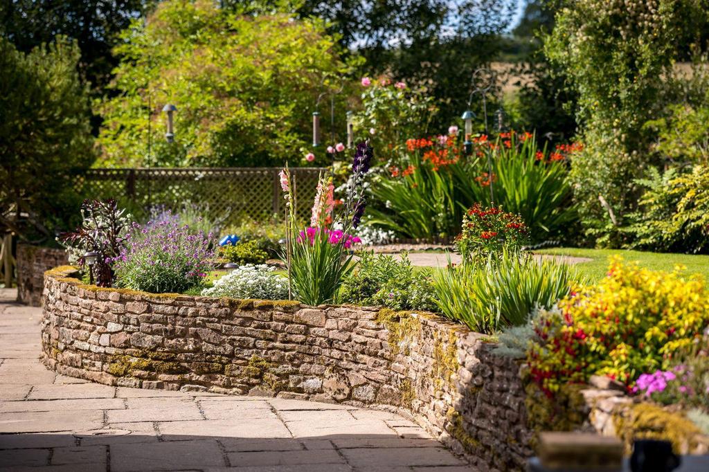 22 Stony garden nice flowers.jpg