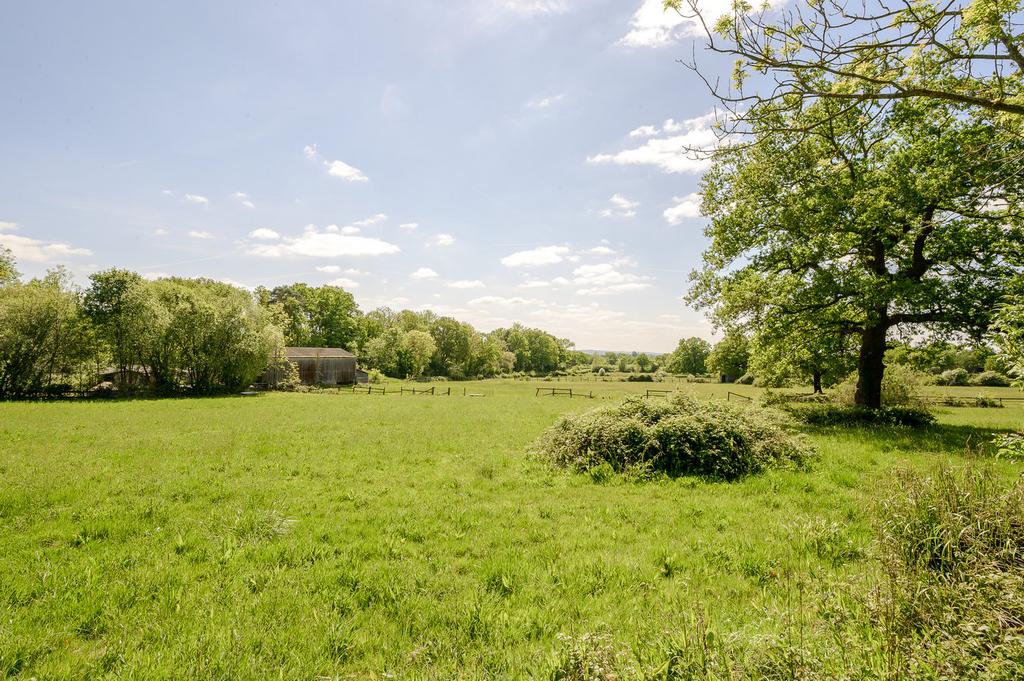 Rural Area Behind Property