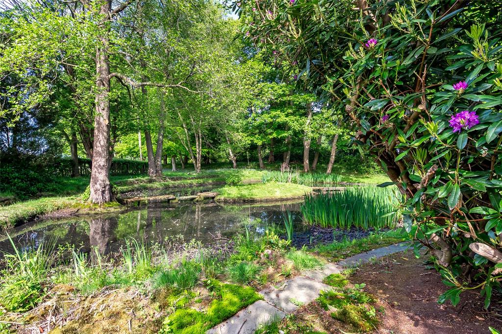 Pond & Woodland