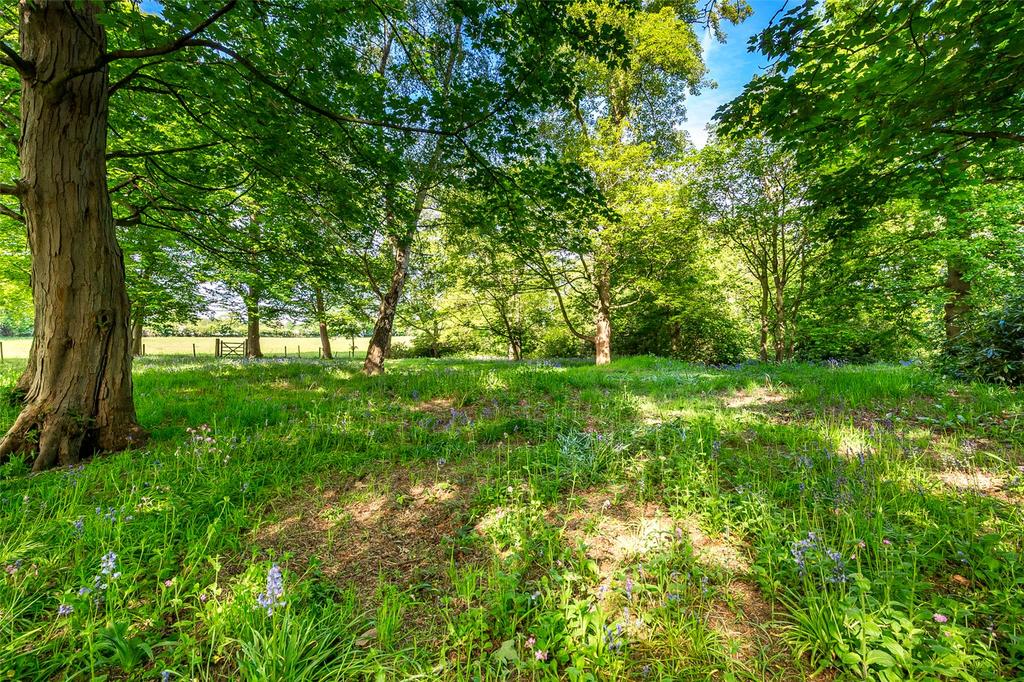 Established Woodland