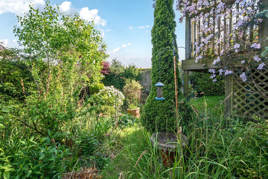 Side Garden