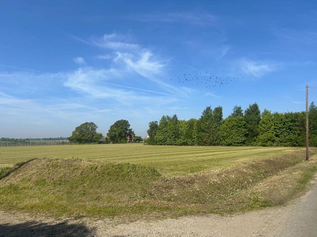 Road View