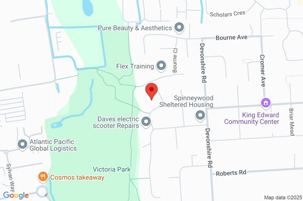 Google Maps Image