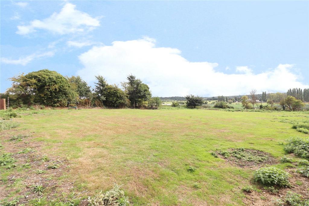 Field