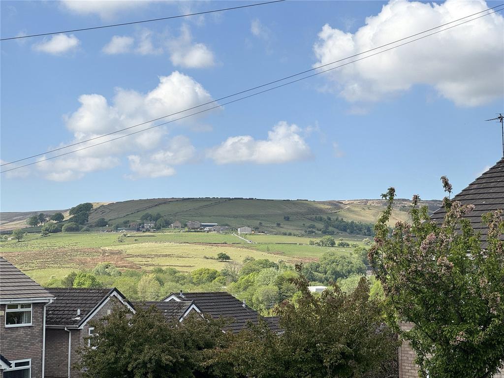 Musbury Tor