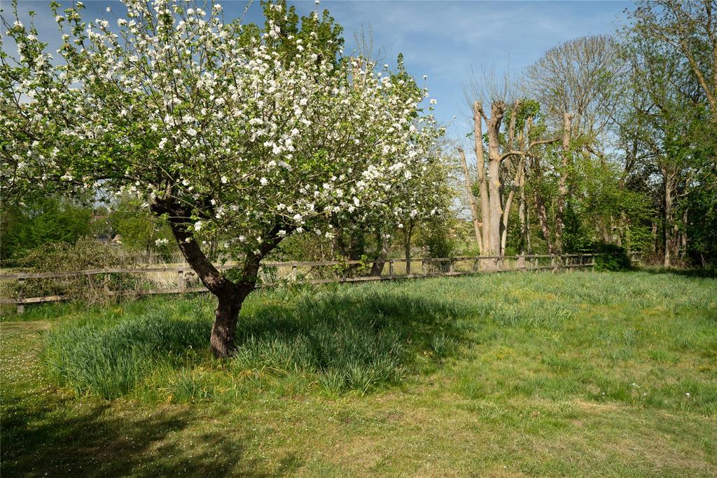 Rear Gardens
