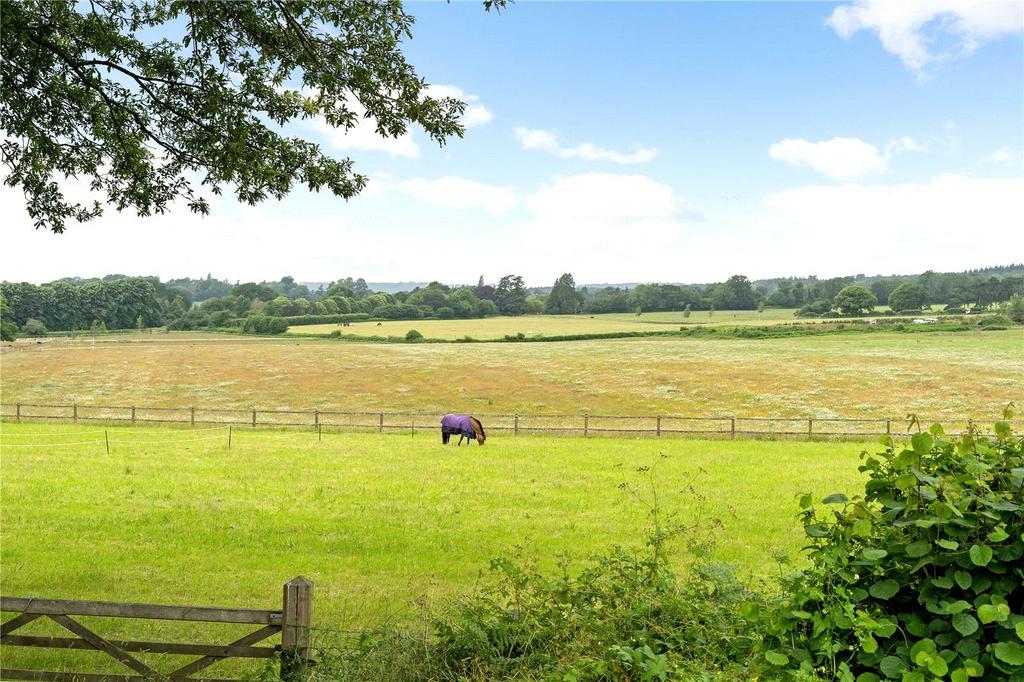 Paddocks