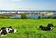 Additional image 3 of Tonderghie Road, Isle Of Whithorn, DG8