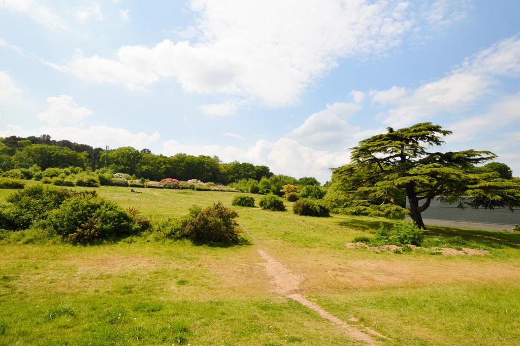 Earlswood Park