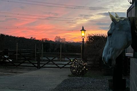 Equestrian property to rent, Mill Lane, Hook, RG27