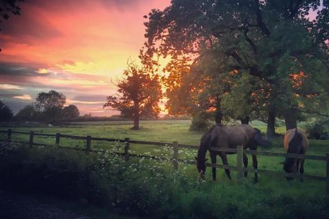 Equestrian property to rent, Mill Lane, Hook, RG27
