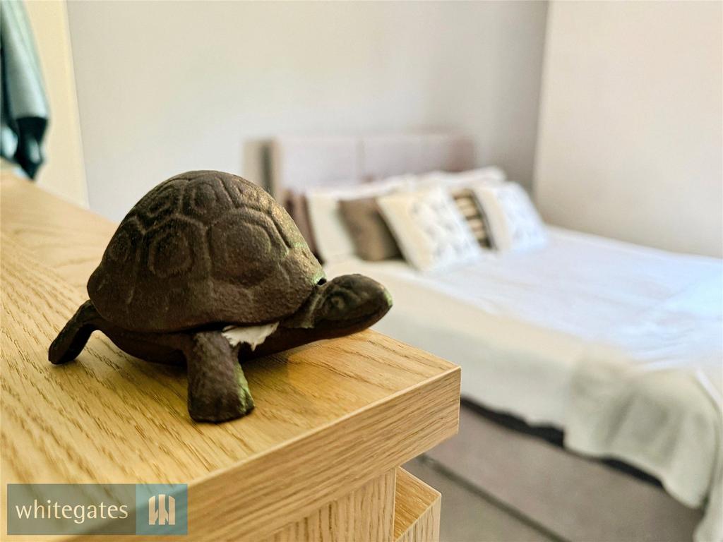 Turtley Awesome