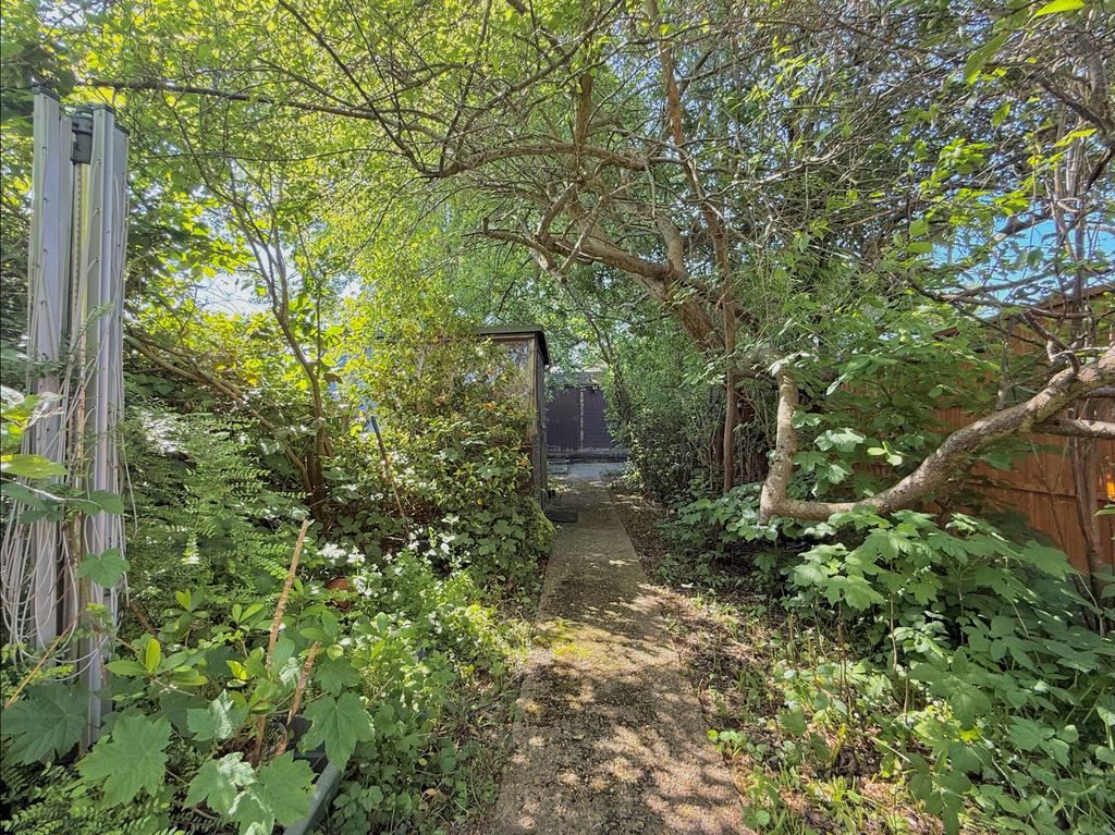 Garden Continued