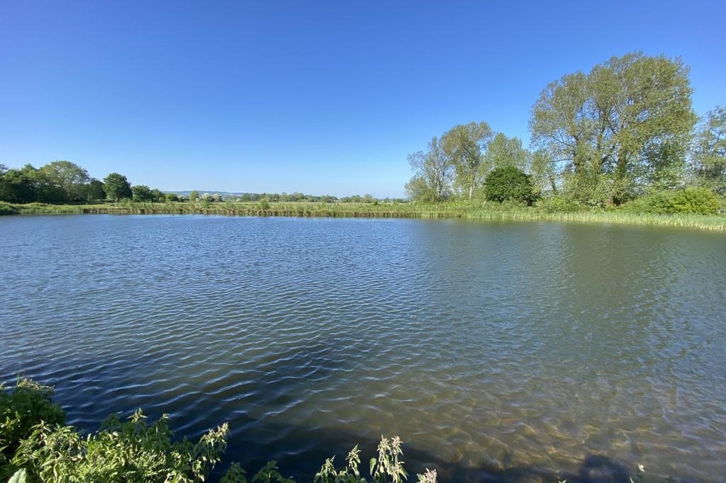 Nearby lake view