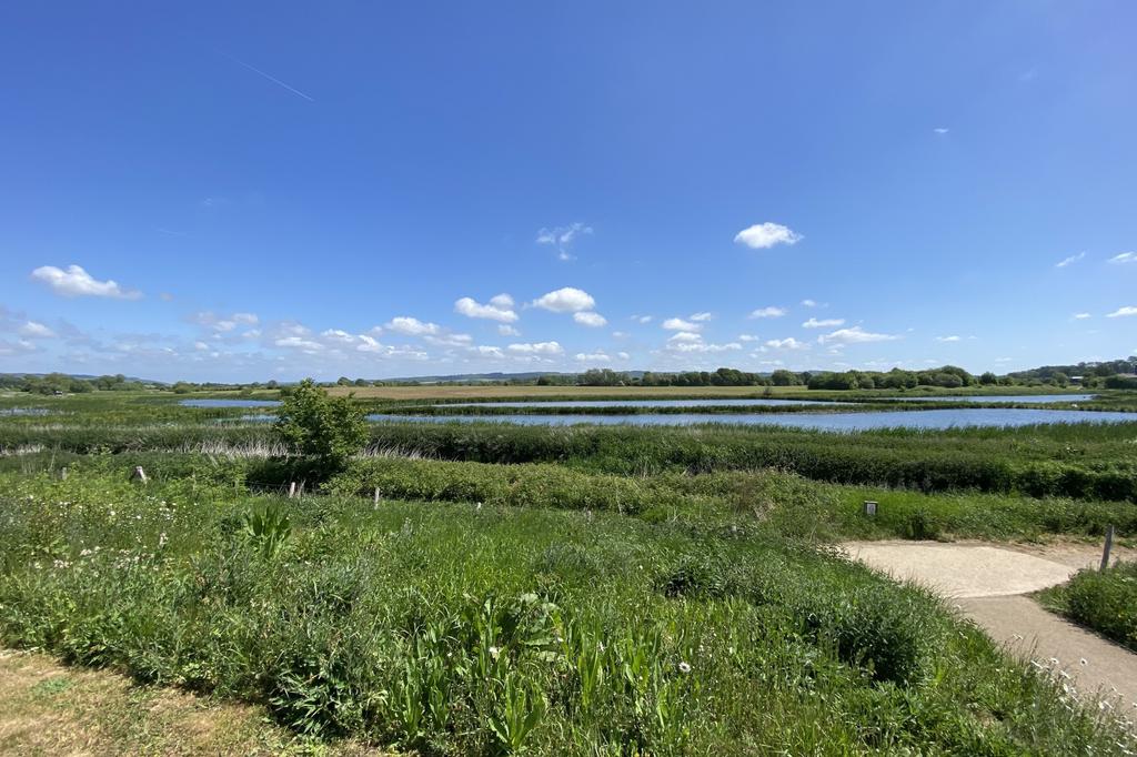 Countryside view