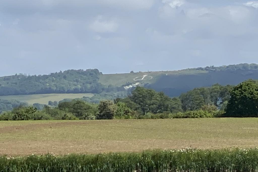 Wye crown view