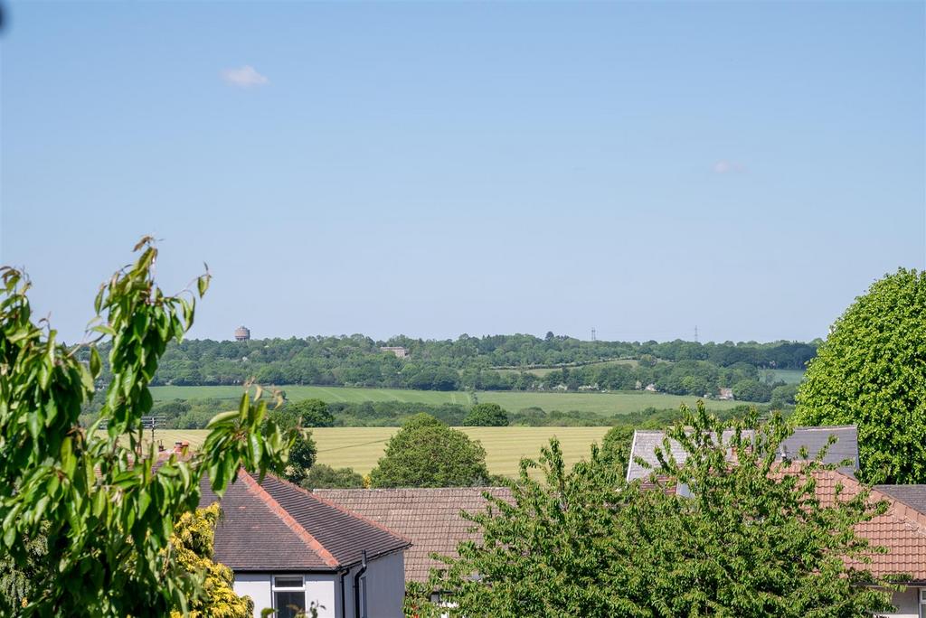 DSC 9723.jpg