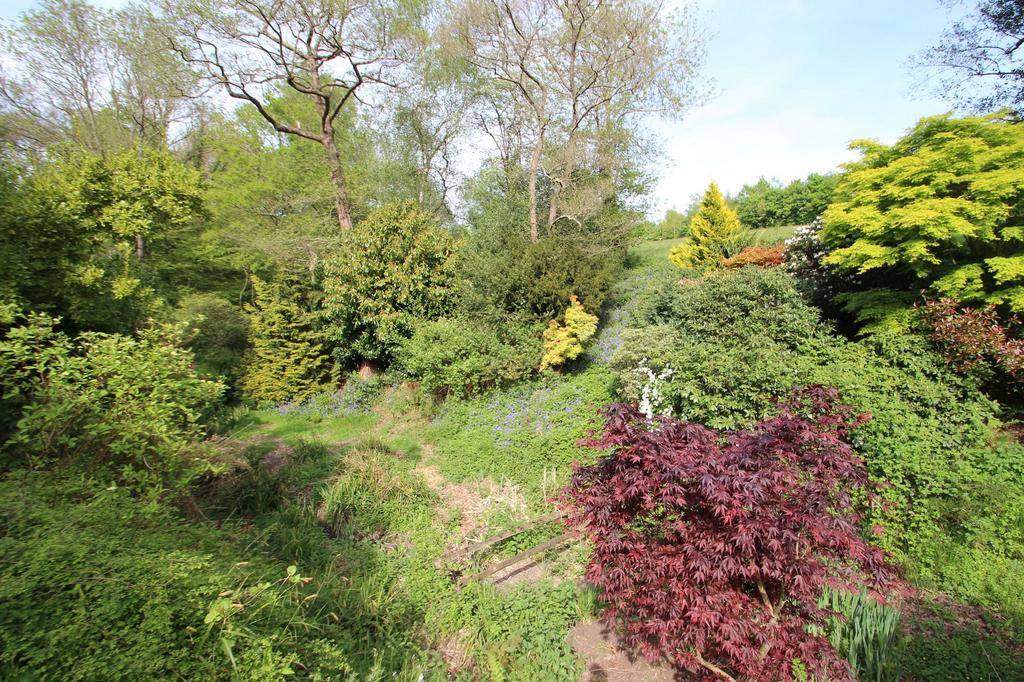 Woodland