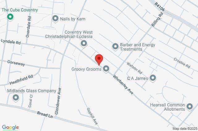 Google Maps Image