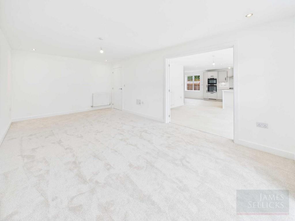 Open Plan Living Dining Kitchen