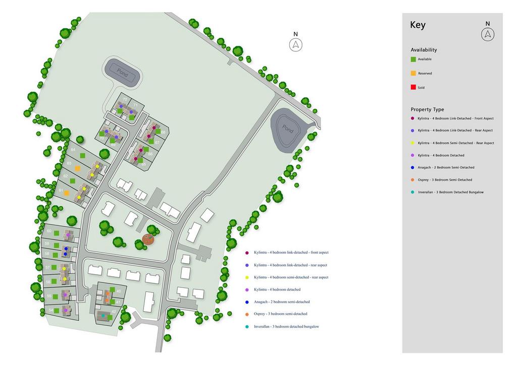 Development Plan
