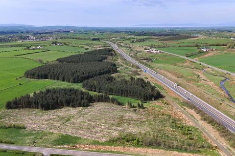 undefined, Laighmuir Woodland, Fenwick, Kilmarnock, East Ayrshire, KA3