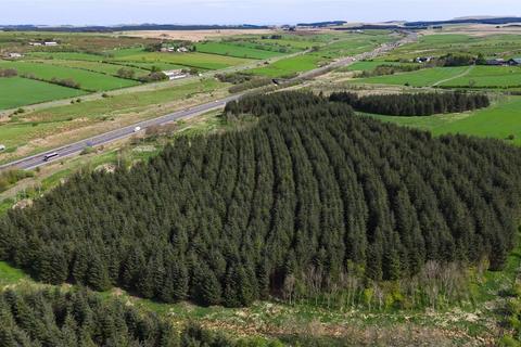 undefined, Laighmuir Woodland, Fenwick, Kilmarnock, East Ayrshire, KA3