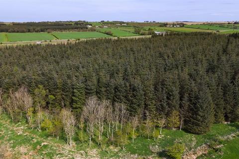 undefined, Laighmuir Woodland, Fenwick, Kilmarnock, East Ayrshire, KA3