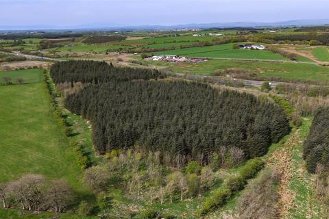 undefined, Laighmuir Woodland, Fenwick, Kilmarnock, East Ayrshire, KA3