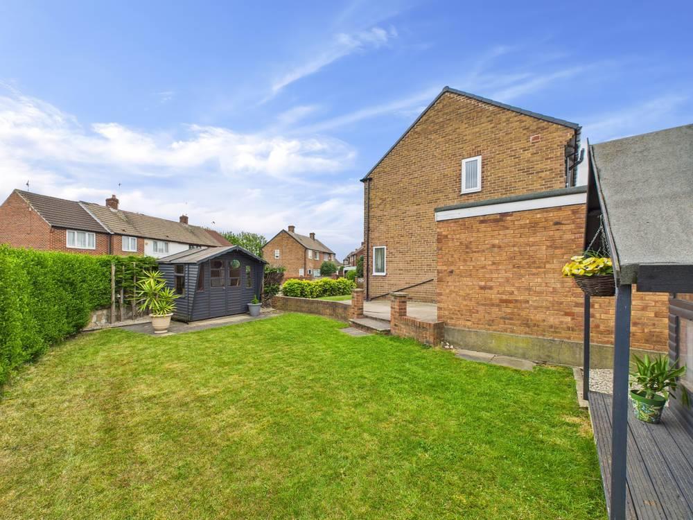 Back garden.jpg