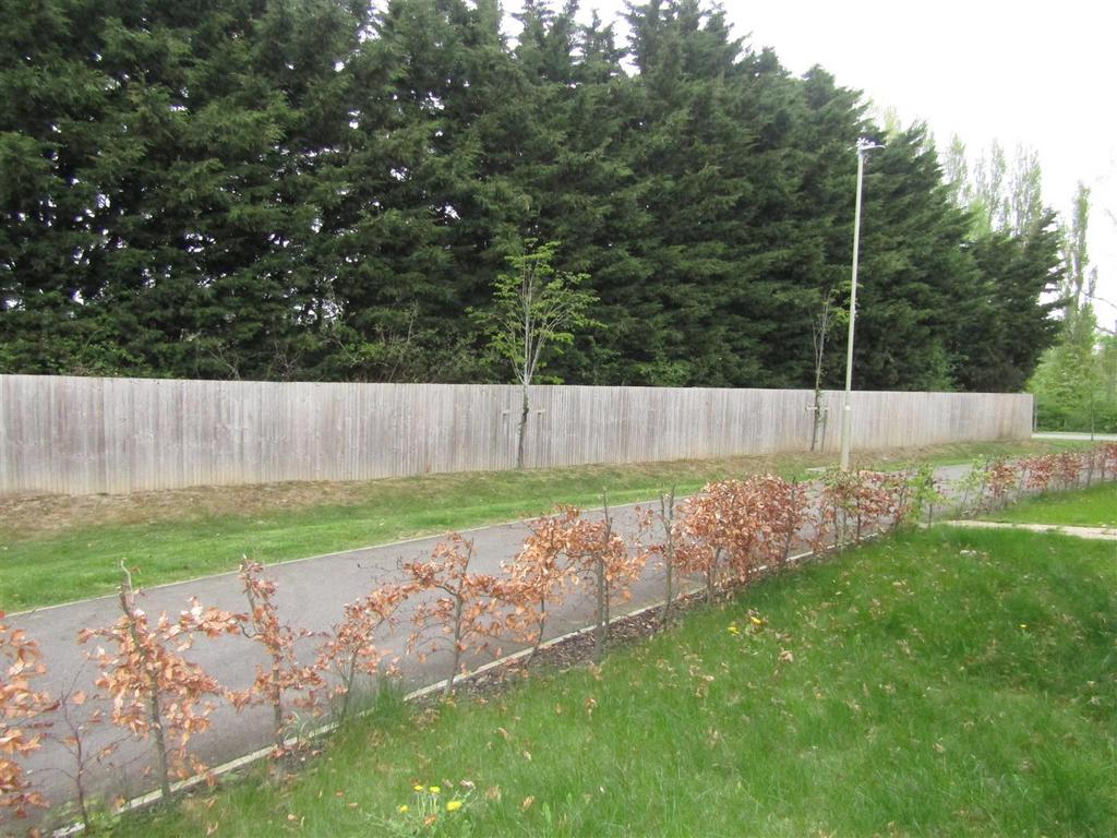 Img 7681.jpg