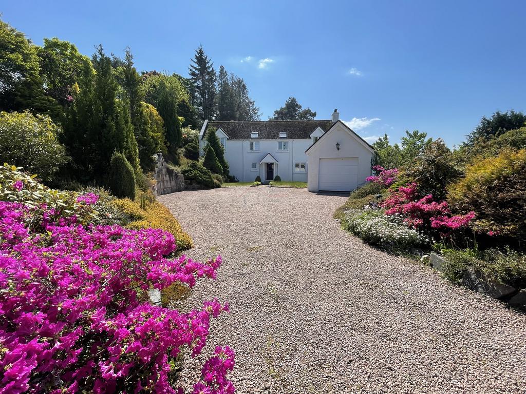 Driveway.JPG