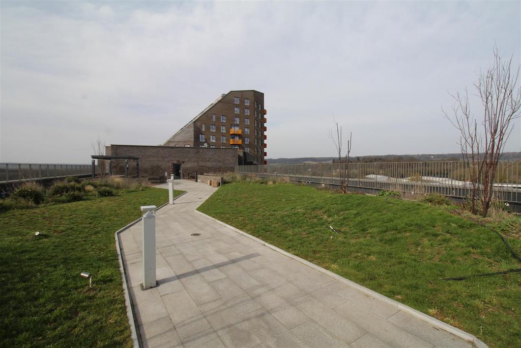 Img 7455.jpg