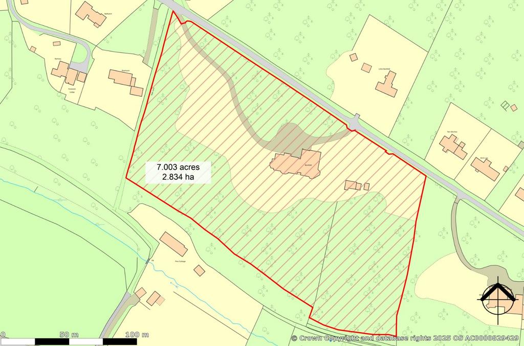 Plot