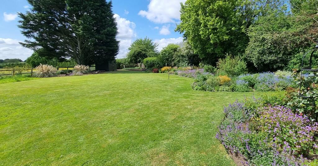 Garden6