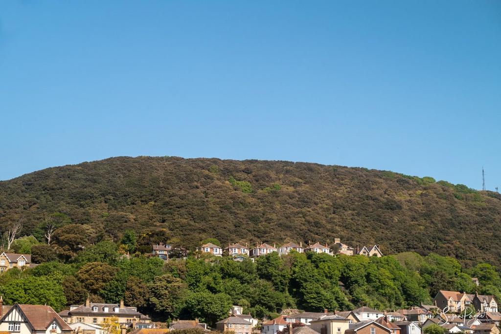 View from Bedroom Three