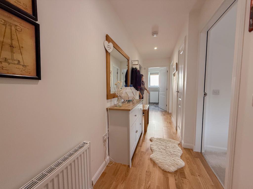 Img 7388