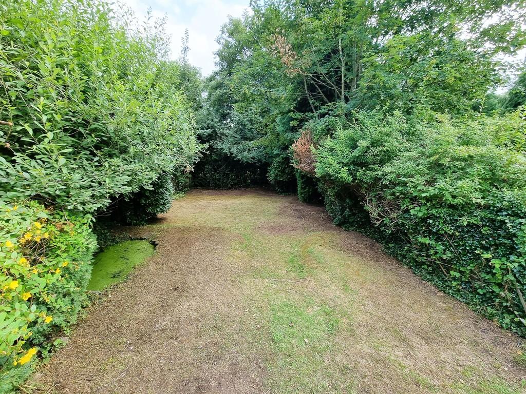 Garden 4