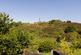 82 Fir Tree Lane, BS5-25.jpg