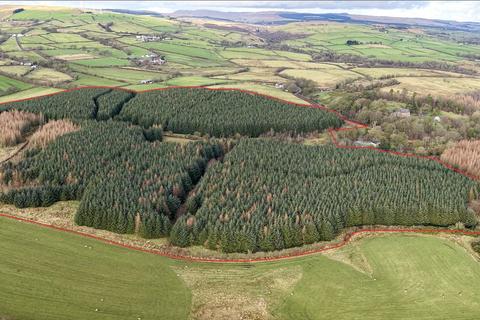 undefined, Mosside Woods, Dalry, North Ayrshire, KA24